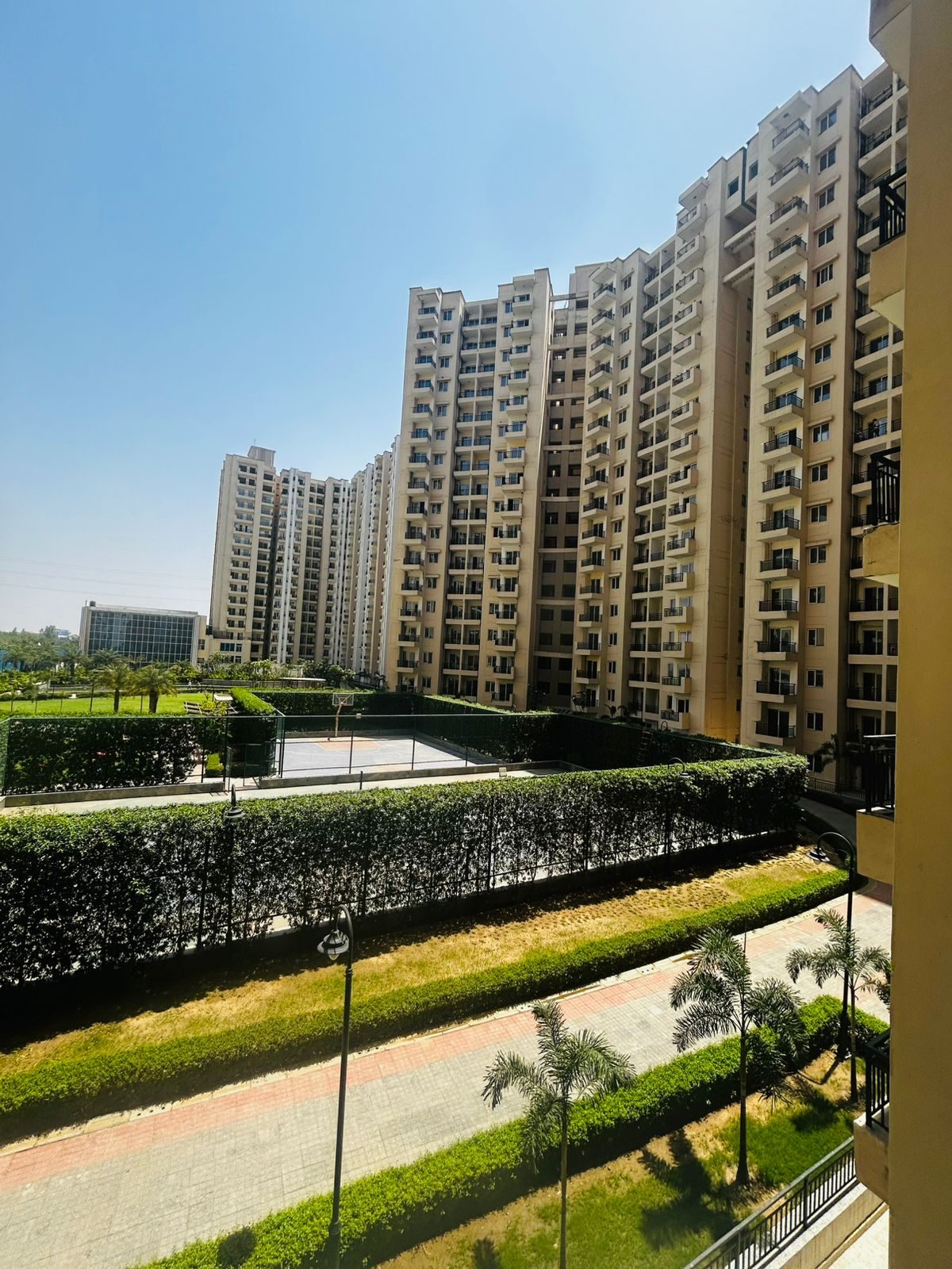 Basketball court framed by tall hedges at Oasis Grandstand
