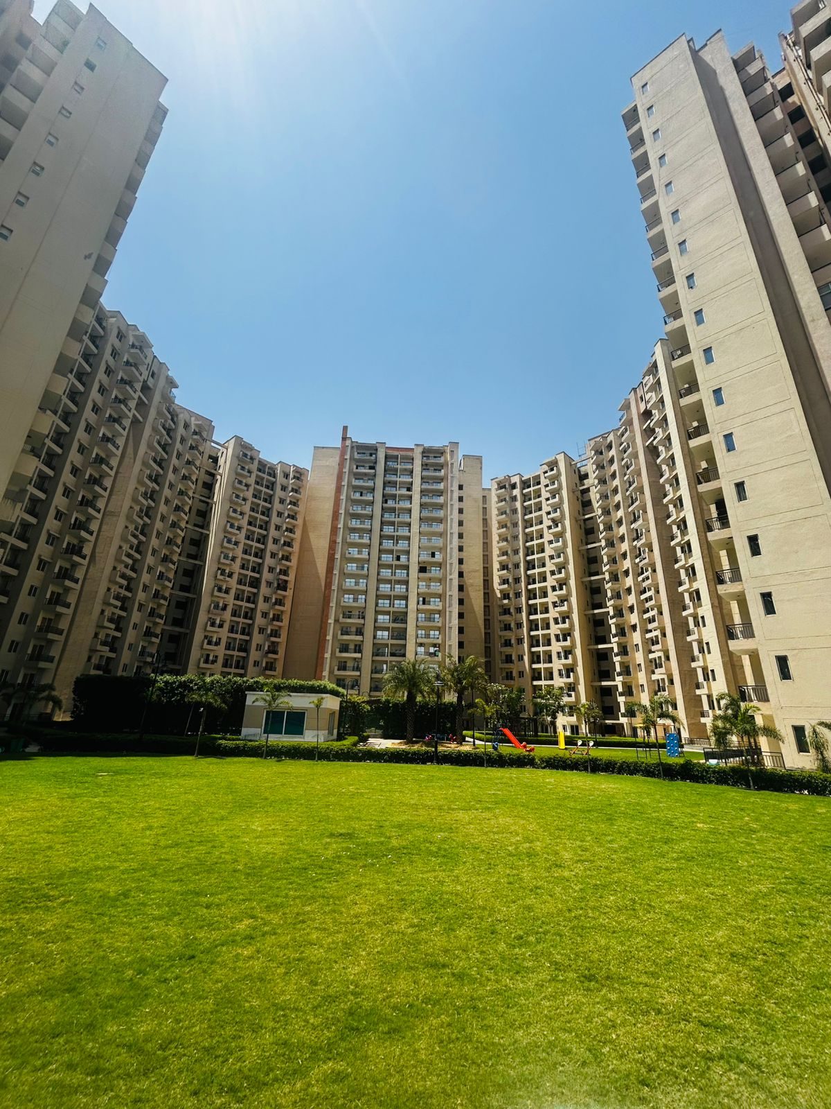 Central green lawn
